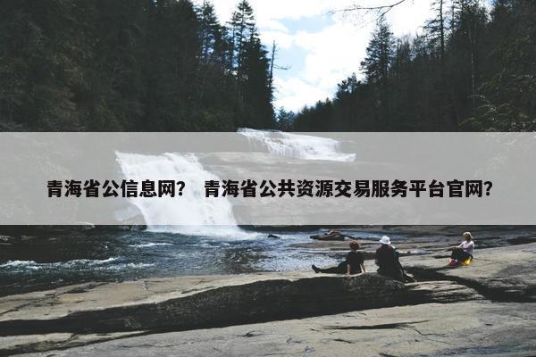青海省公信息网？ 青海省公共资源交易服务平台官网？