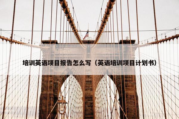 培训英语项目报告怎么写（英语培训项目计划书）