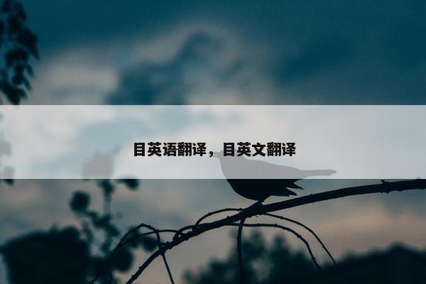 目英语翻译，目英文翻译