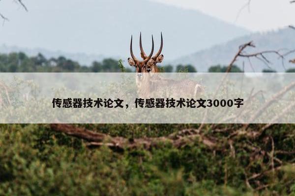 传感器技术论文，传感器技术论文3000字