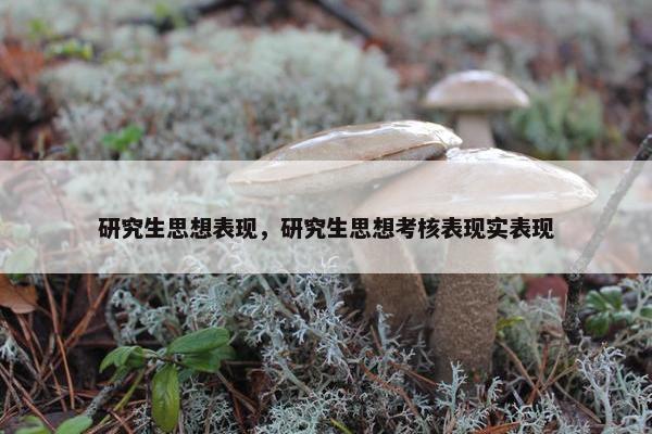 研究生思想表现，研究生思想考核表现实表现