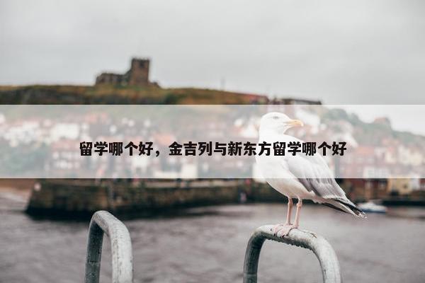 留学哪个好，金吉列与新东方留学哪个好