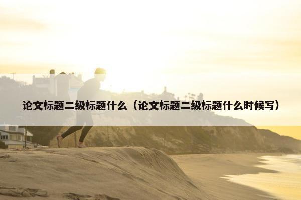 论文标题二级标题什么（论文标题二级标题什么时候写）