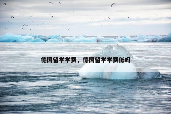 德国留学学费，德国留学学费低吗