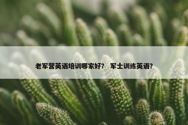 老军营英语培训哪家好？ 军士训练英语？