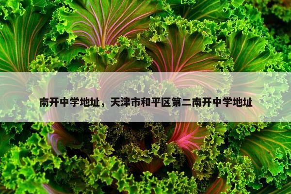 南开中学地址，天津市和平区第二南开中学地址