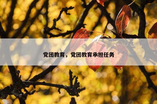 党团教育，党团教育承担任务