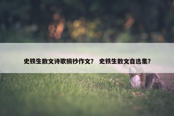 史铁生散文诗歌摘抄作文？ 史铁生散文自选集？