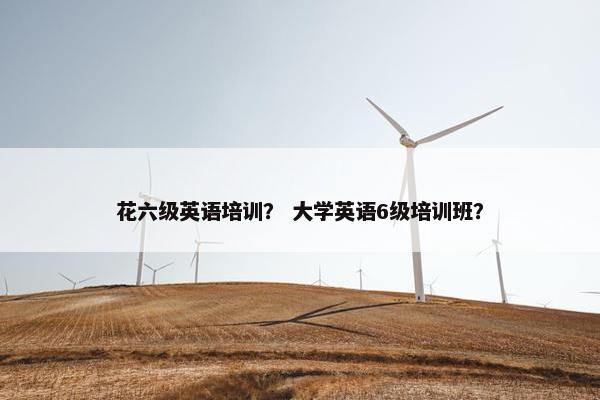花六级英语培训？ 大学英语6级培训班？