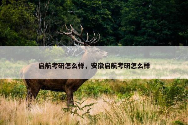 启航考研怎么样，安徽启航考研怎么样
