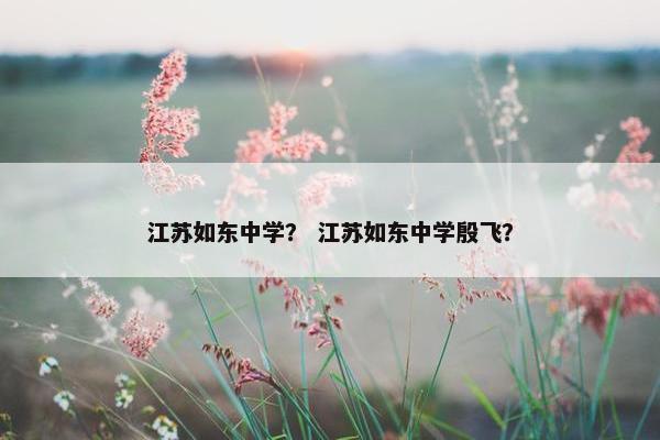 江苏如东中学？ 江苏如东中学殷飞？