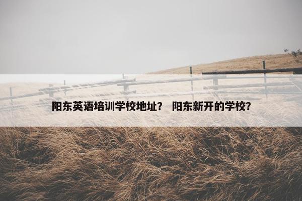 阳东英语培训学校地址？ 阳东新开的学校？