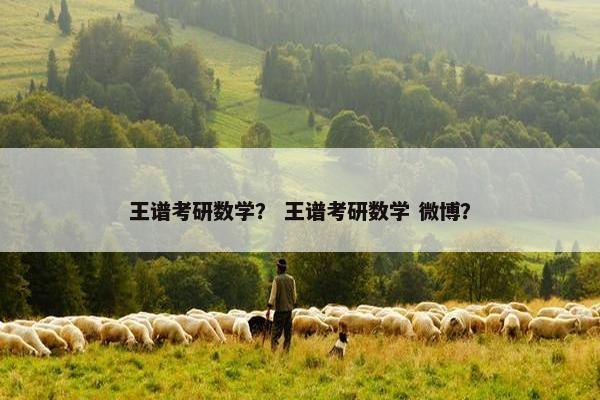 王谱考研数学？ 王谱考研数学 微博？