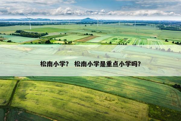 松南小学？ 松南小学是重点小学吗？