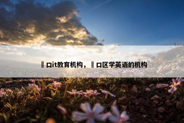 硚口it教育机构，硚口区学英语的机构