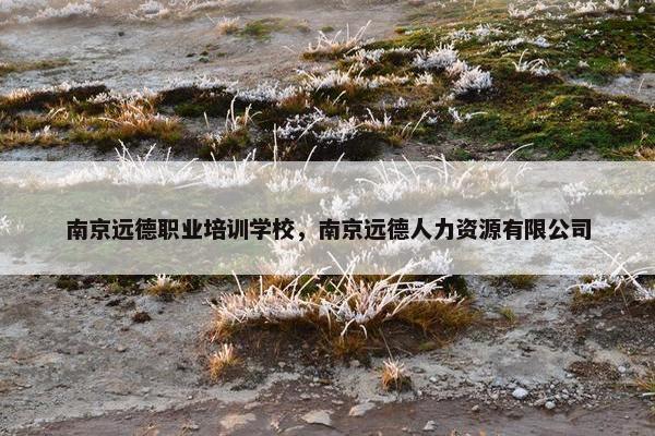 南京远德职业培训学校，南京远德人力资源有限公司