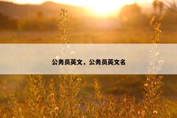 公务员英文，公务员英文名