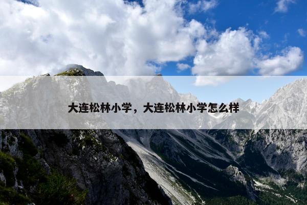 大连松林小学，大连松林小学怎么样