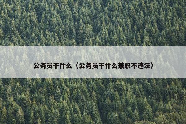 公务员干什么（公务员干什么兼职不违法）