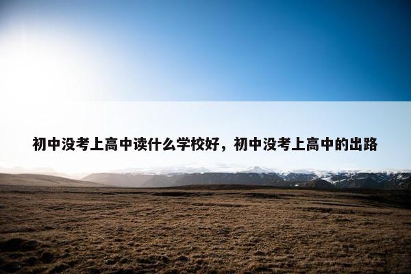 初中没考上高中读什么学校好，初中没考上高中的出路