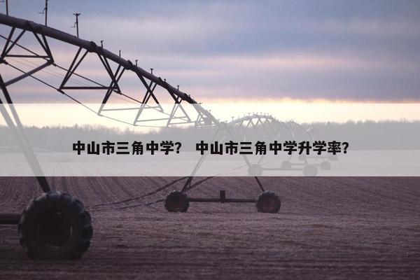 中山市三角中学？ 中山市三角中学升学率？