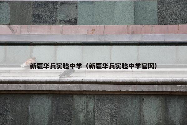 新疆华兵实验中学（新疆华兵实验中学官网）