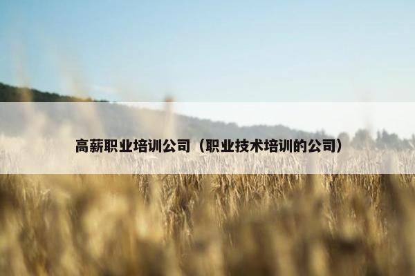 高薪职业培训公司（职业技术培训的公司）