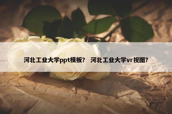 河北工业大学ppt模板？ 河北工业大学vr视图？