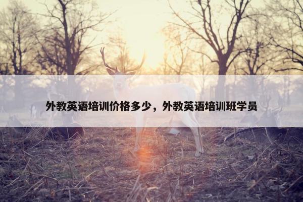 外教英语培训价格多少，外教英语培训班学员