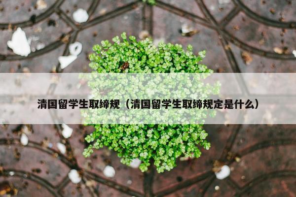 清国留学生取缔规（清国留学生取缔规定是什么）