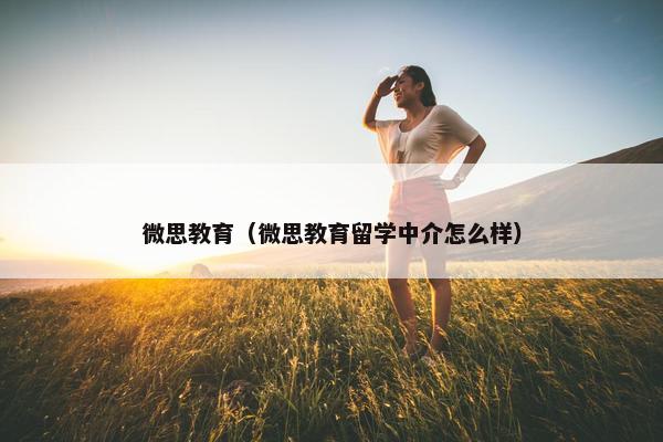 微思教育（微思教育留学中介怎么样）