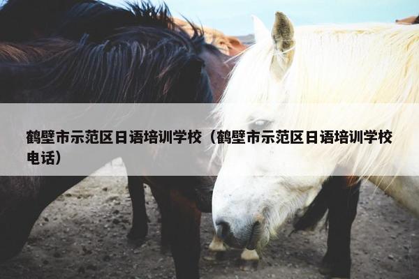 鹤壁市示范区日语培训学校（鹤壁市示范区日语培训学校电话）
