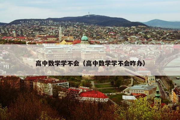高中数学学不会（高中数学学不会咋办）