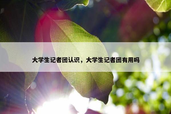 大学生记者团认识，大学生记者团有用吗
