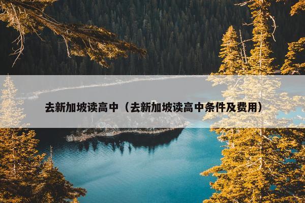 去新加坡读高中（去新加坡读高中条件及费用）