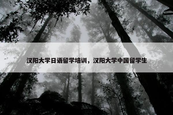 汉阳大学日语留学培训，汉阳大学中国留学生