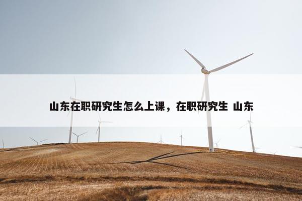 山东在职研究生怎么上课，在职研究生 山东