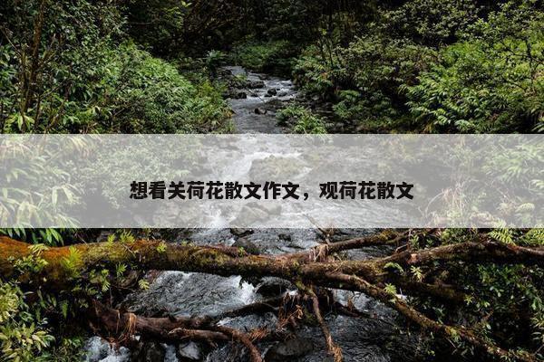 想看关荷花散文作文，观荷花散文