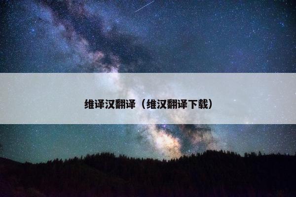 维译汉翻译（维汉翻译下载）