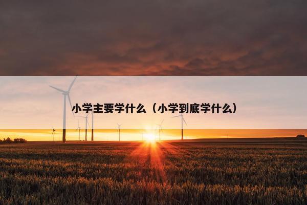 小学主要学什么（小学到底学什么）