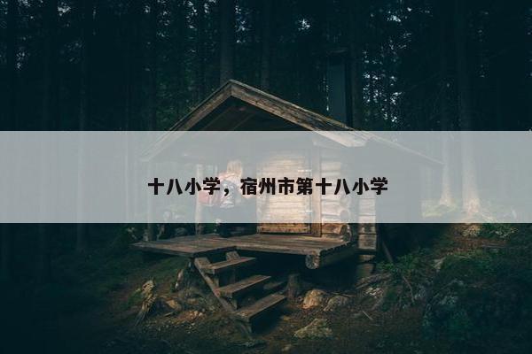 十八小学，宿州市第十八小学