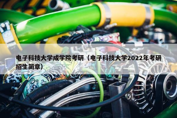 电子科技大学成学院考研（电子科技大学2022年考研招生简章）