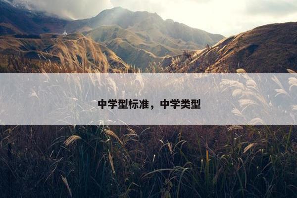 中学型标准，中学类型