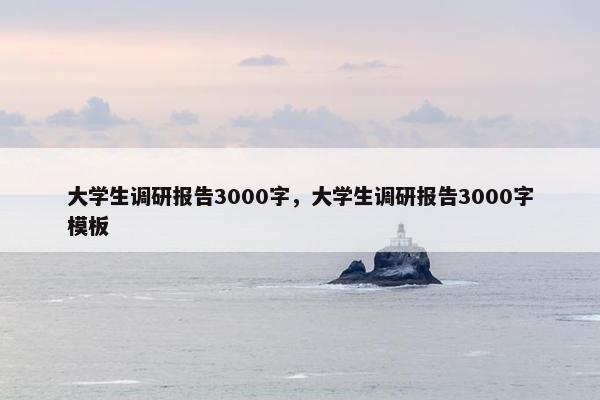 大学生调研报告3000字，大学生调研报告3000字模板