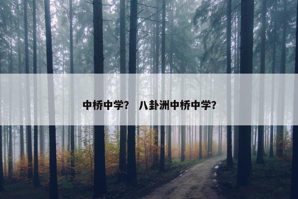 中桥中学？ 八卦洲中桥中学？