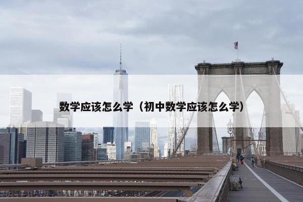 数学应该怎么学（初中数学应该怎么学）