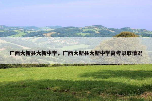 广西大新县大新中学，广西大新县大新中学高考录取情况