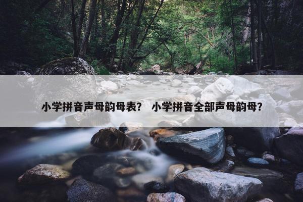 小学拼音声母韵母表？ 小学拼音全部声母韵母？