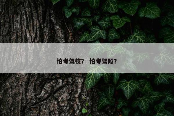 怕考驾校？ 怕考驾照？