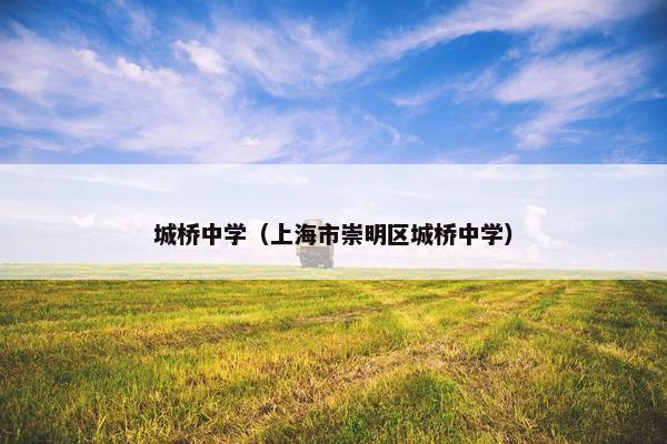 城桥中学（上海市崇明区城桥中学）